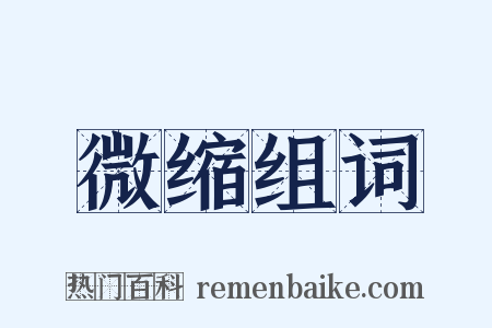 微缩组词是什么意思的图片